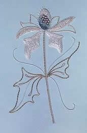 Eryngium kit