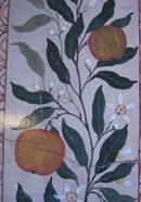 Orange postcard